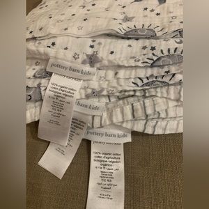 Pottery Barn Kids Skye Organic Swaddle Set